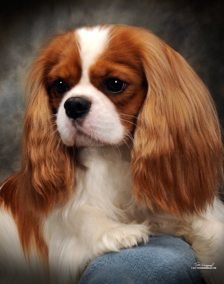 Charlie